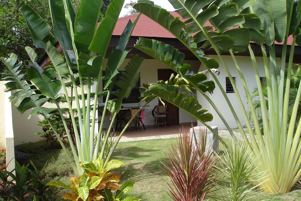 Alona Swiss Resort Panglao Exteriör bild